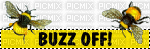 buzz off - Gratis geanimeerde GIF