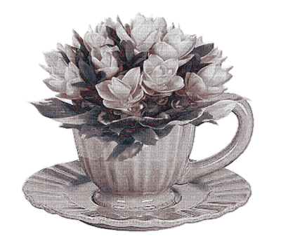 Y.A.M._Flowers - ilmainen png