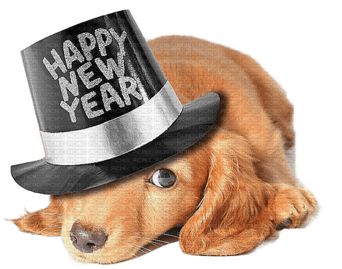 Happy New Year.Dog.Chien.Perro.Victoriabea - png ฟรี