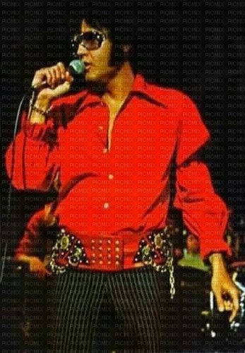 Elvis Presley - zadarmo png