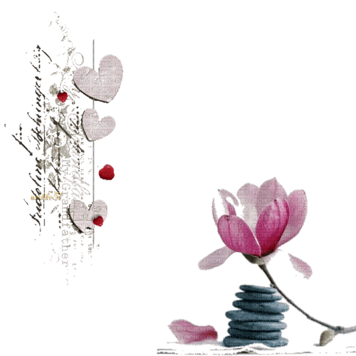 Dekoration Magnolie - gratis png