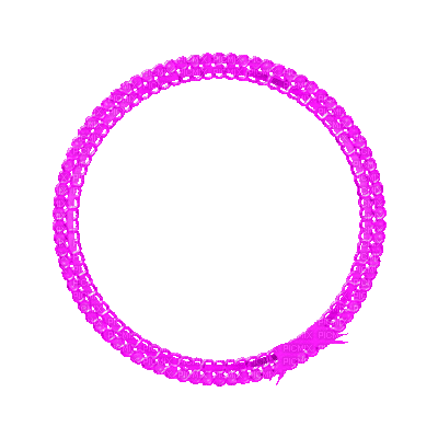 Kaz_Creations Deco Circle Frames Frame  Colours - GIF animado gratis