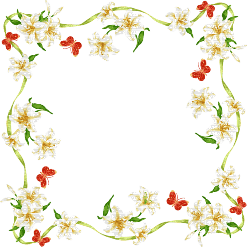 frame lily - nemokama png