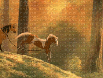 La galopade spirit - Ingyenes animált GIF