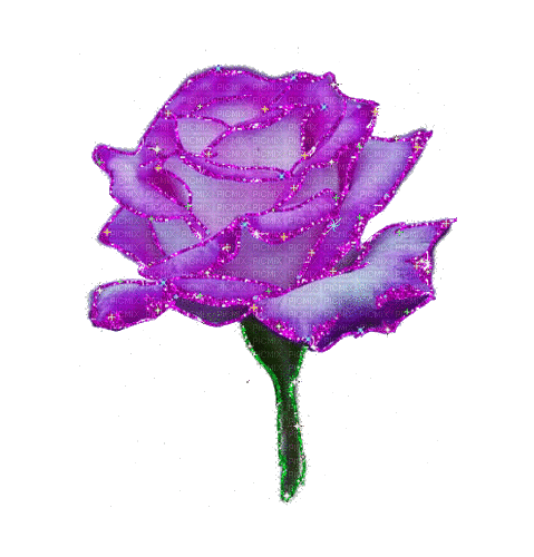 purple sparkley rose - GIF เคลื่อนไหวฟรี