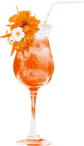 Cocktail.Flowers.Orange - besplatni png