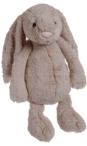Cute Bunny - darmowe png