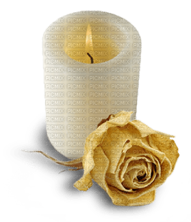 gala candle - ilmainen png
