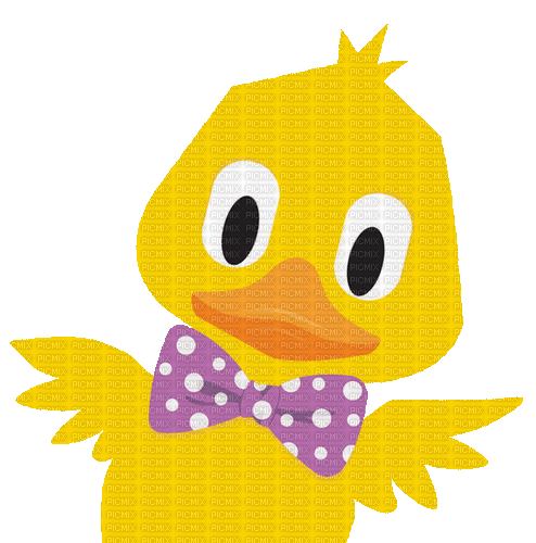 duck animal - Besplatni animirani GIF