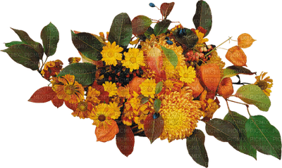 Kaz_Creations Deco Flowers Flower Colours Autumn - ingyenes png
