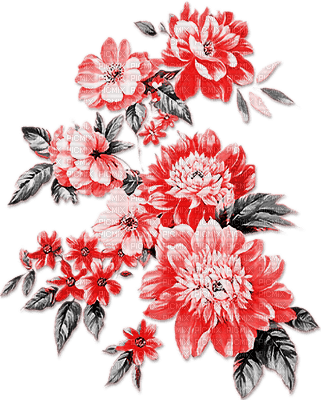 soave deco flowers branch oriental black white red - png gratis