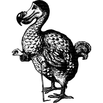 Dodo - PNG gratuit