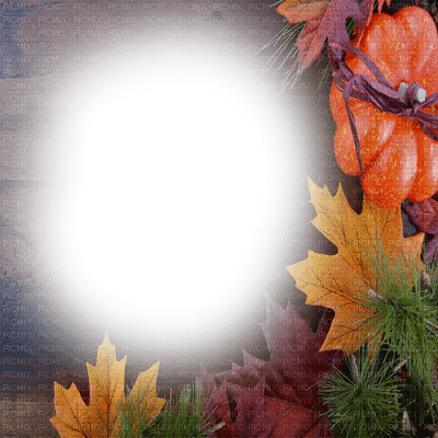 fond autumn automne - Free PNG