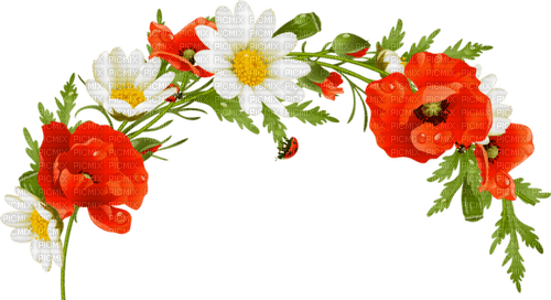 blommor-flowers - png grátis