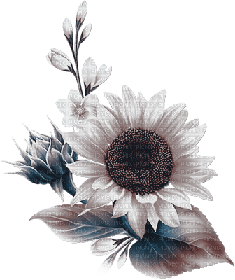 soave deco flowers sunflowers branch blue brown - δωρεάν png