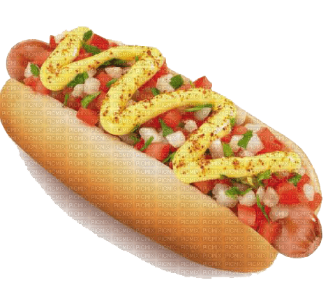 GIANNIS TOUROUNTZAN - hot dog - kostenlos png