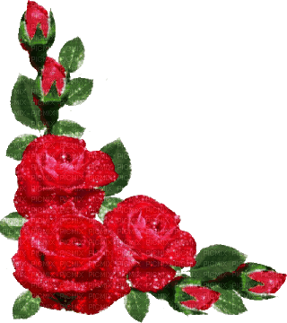 red roses glitter - Free animated GIF