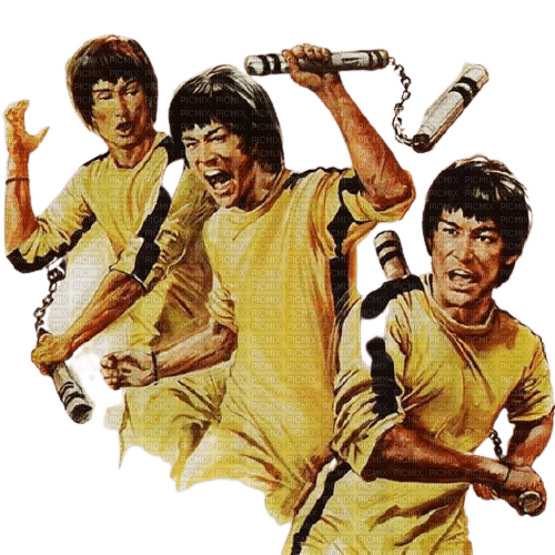 Bruce Lee - besplatni png