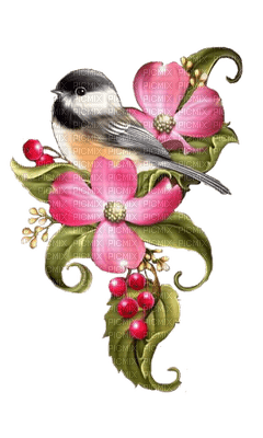 flower and bird - gratis png