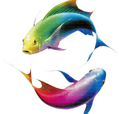 peces - PNG gratuit