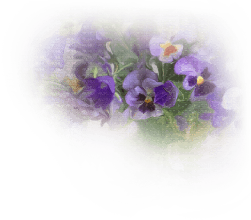 fleur violette.Cheyenne63 - ilmainen png