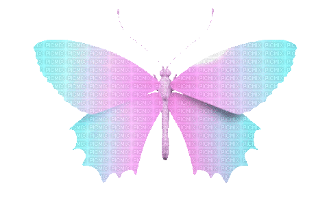 Butterfly - Darmowy animowany GIF