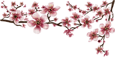 rosa-blommor - PNG gratuit