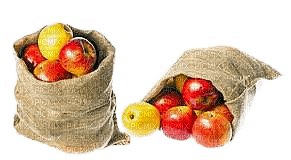 Apples.Pommes.Victoriabea - Free PNG