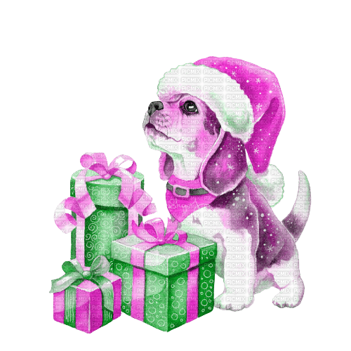 kikkapink dog winter animal animals christmas - zdarma png