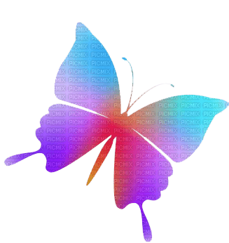 butterfly  Bb2 - darmowe png