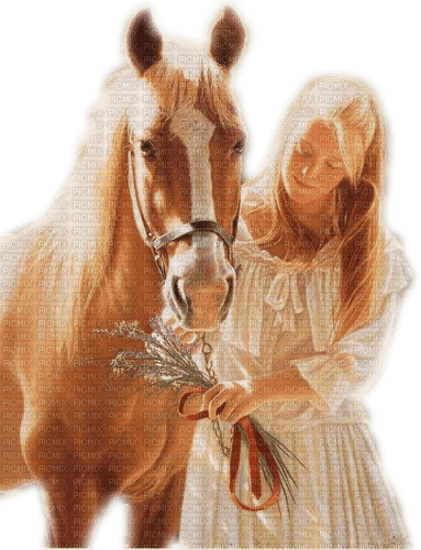 Horse and Girl - ilmainen png