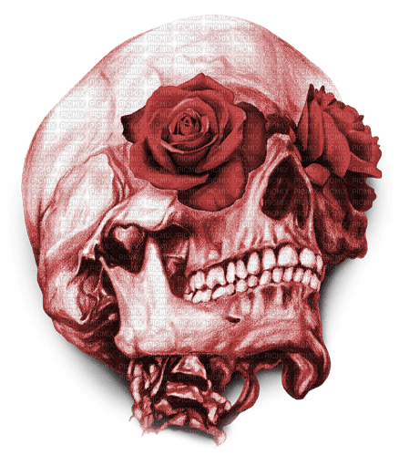 Y.A.M._Gothic skull red - ingyenes png