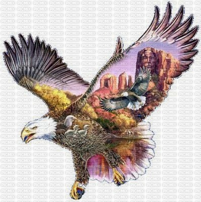 aigle - PNG gratuit