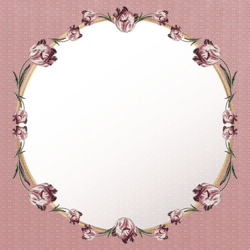 Cadre.Frame.Pink.Round.Victoriabea - ingyenes png