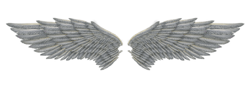 angel wings - PNG gratuit