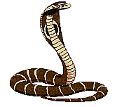 schlange snake - GIF animate gratis