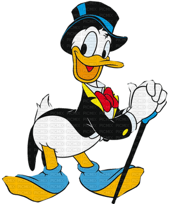 donald duck - zadarmo png