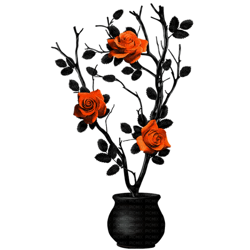 Gothic.Roses.Black.Orange - PNG gratuit