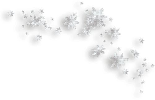 white flowers deco - ilmainen png