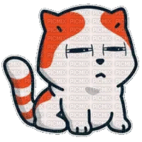 Marsey the Cat Squinting - Zdarma animovaný GIF