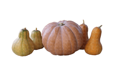 pumpkin, kurpitsa - PNG gratuit