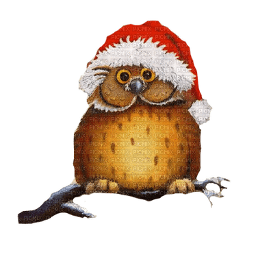 christmas owl chouette noel - gratis png