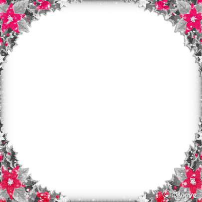 soave frame corner circle christmas flowers winter - 免费PNG