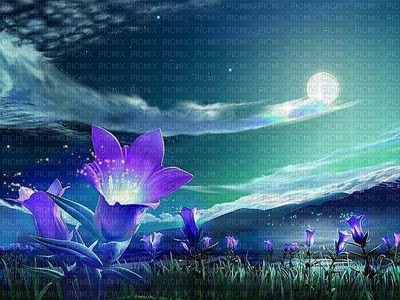 image encre paysage la nature lune fleurs  effet edited by me - gratis png