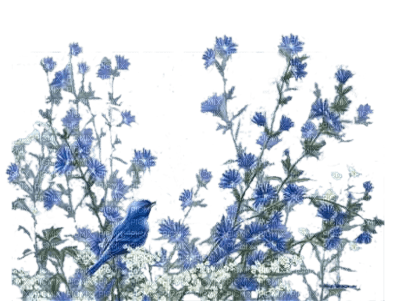 minou-blue-flower-bird-fågel - 無料png