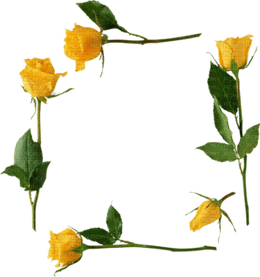 Kaz_Creations Yellow Deco Scrap Flowers Frames Frame - PNG gratuit