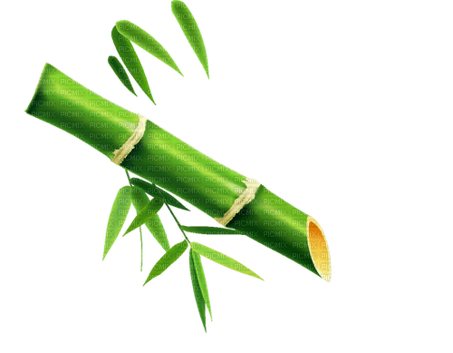 bamboo / fountain - darmowe png