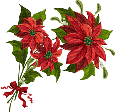 Kaz_Creations Christmas  Deco Flowers Flower Colours - Free PNG