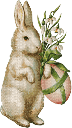 Rabbit.Lapin.Vintage.Pâques.Victoriabea - PNG gratuit