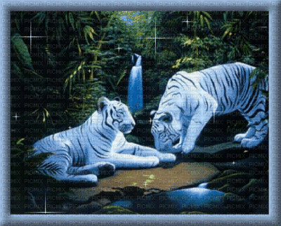tigres - Безплатен анимиран GIF